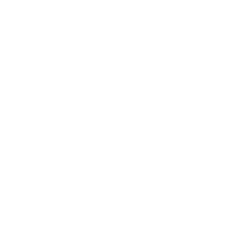 Wingsoft Srl